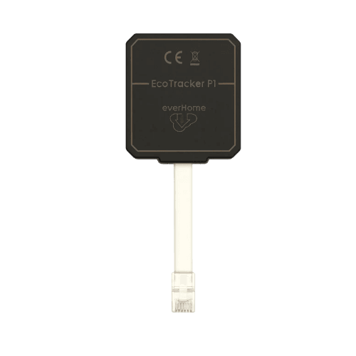 everHome EcoTracker P1