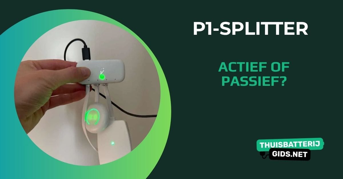 P1-splitter kopen: hier moet je op letten